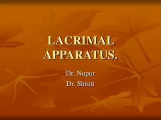 lacrimal apparatus