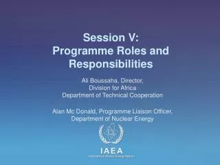 Session V: Programme Roles and Responsibilities