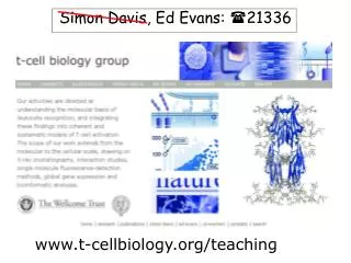 t-cellbiology/teaching