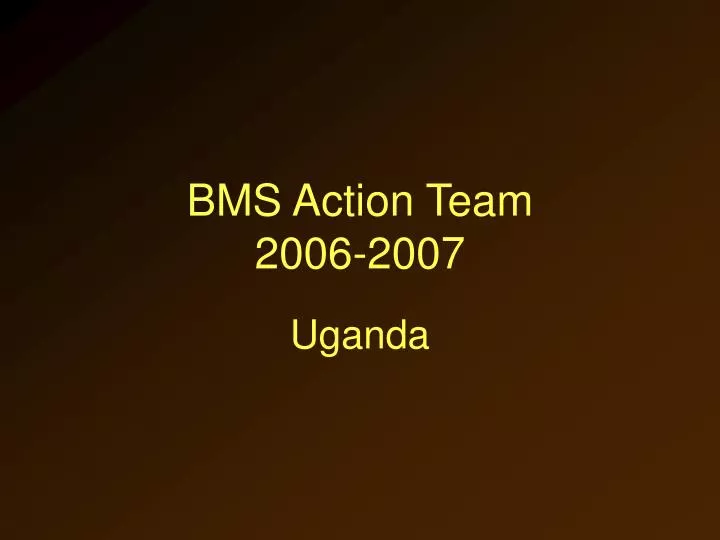 bms action team 2006 2007