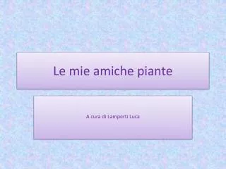le mie amiche piante