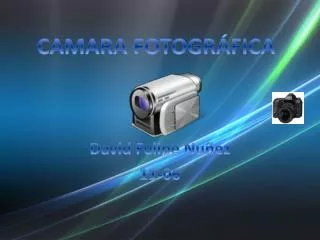 david felipe nu ez 11 06