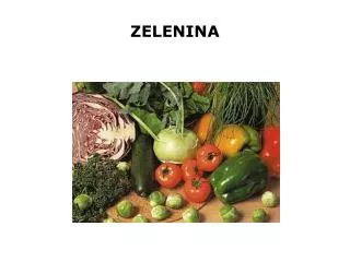 zelenina