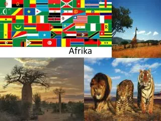 afrika