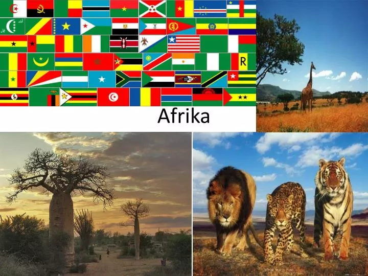 afrika