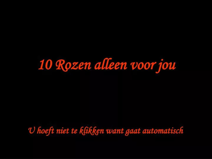 10 rozen alleen voor jou