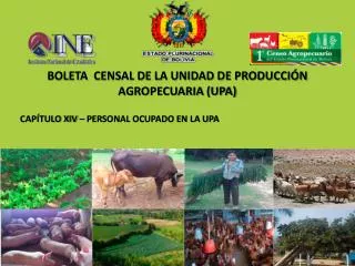 cap tulo xiv personal ocupado en la upa
