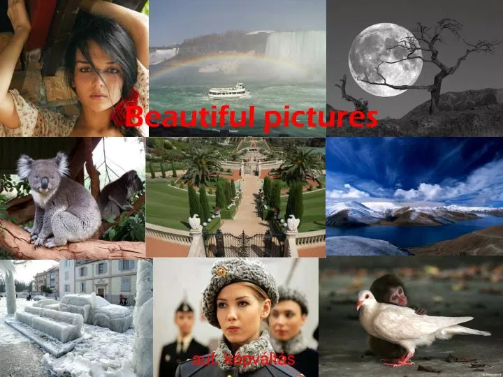 beautiful pictures