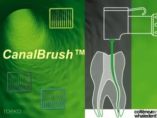 canalbrush