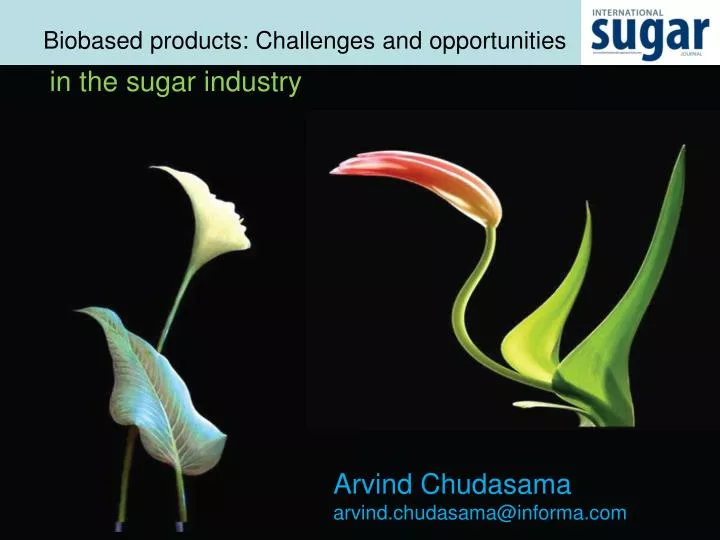 biobased products challenges and opportunities