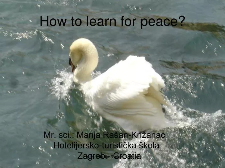 how to learn for peace