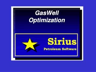 GasWell Optimization