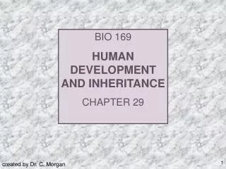 BIO 169 HUMAN DEVELOPMENT AND INHERITANCE CHAPTER 29