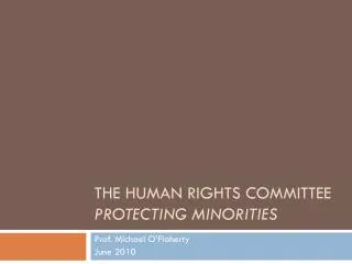The Human Rights Committee protecting minorities