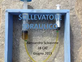 alessandro schiavone 1b cat giugno 2013