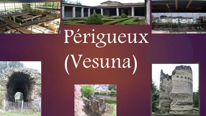 p rigueux vesuna