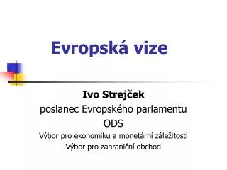 evropsk vize