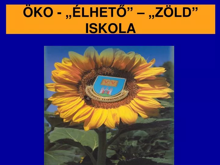 ko lhet z ld iskola