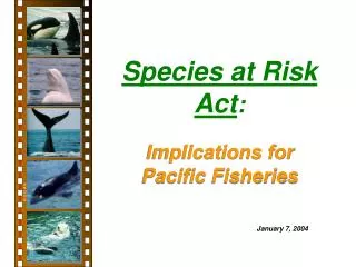 Species at Risk Act :