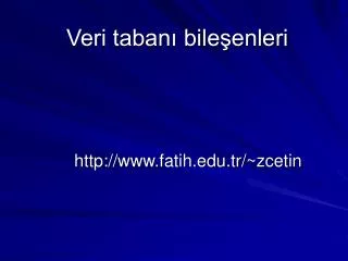 veri taban bile enleri