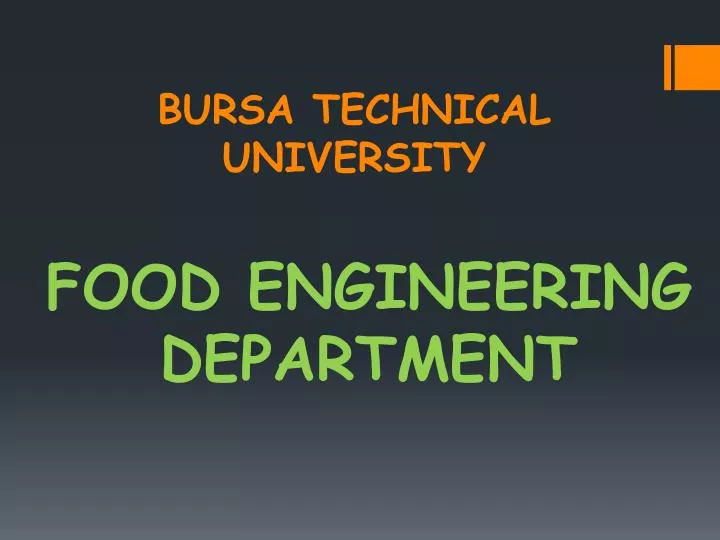 bursa technical university