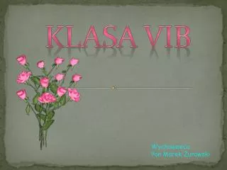 klasa vib