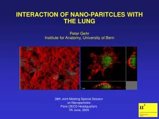 INTERACTION OF NANO-PARITCLES WITH THE LUNG Peter Gehr Institute for Anatomy, University of Bern