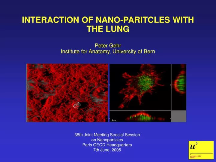 interaction of nano paritcles with the lung peter gehr institute for anatomy university of bern