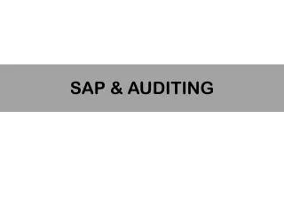 sap auditing