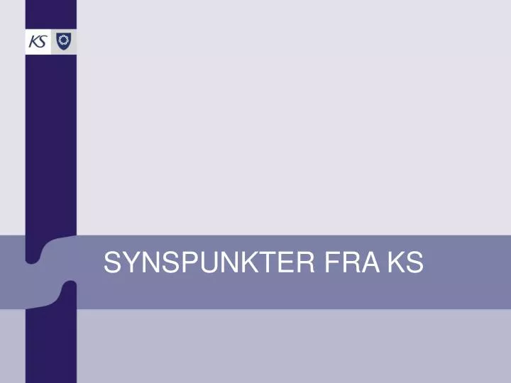 synspunkter fra ks