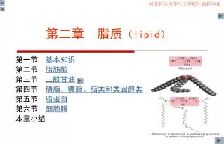 lipid