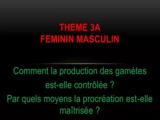 theme 3a feminin masculin