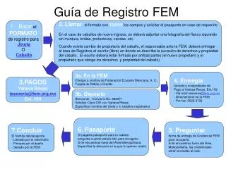 gu a de registro fem