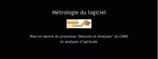 m trologie du logiciel