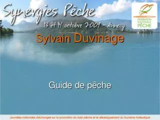 sylvain duvinage