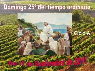 Domingo 25º del tiempo ordinario