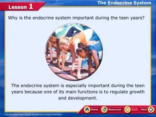 The Endocrine System