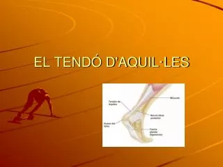 EL TENDÓ D'AQUIL·LES