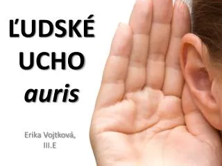 udsk ucho auris