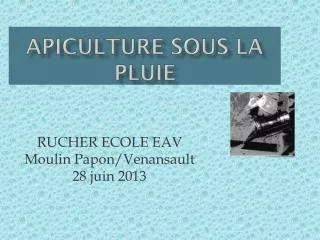 apiculture sous la pluie