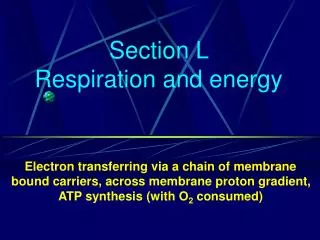 Section L Respiration and energy