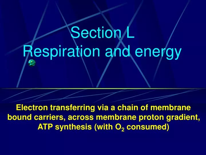 section l respiration and energy