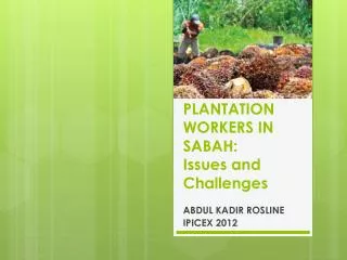 PLANTATION WORKERS IN SABAH: Issues and Challenges