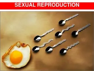 SEXUAL REPRODUCTION AND DEVELOPMENT