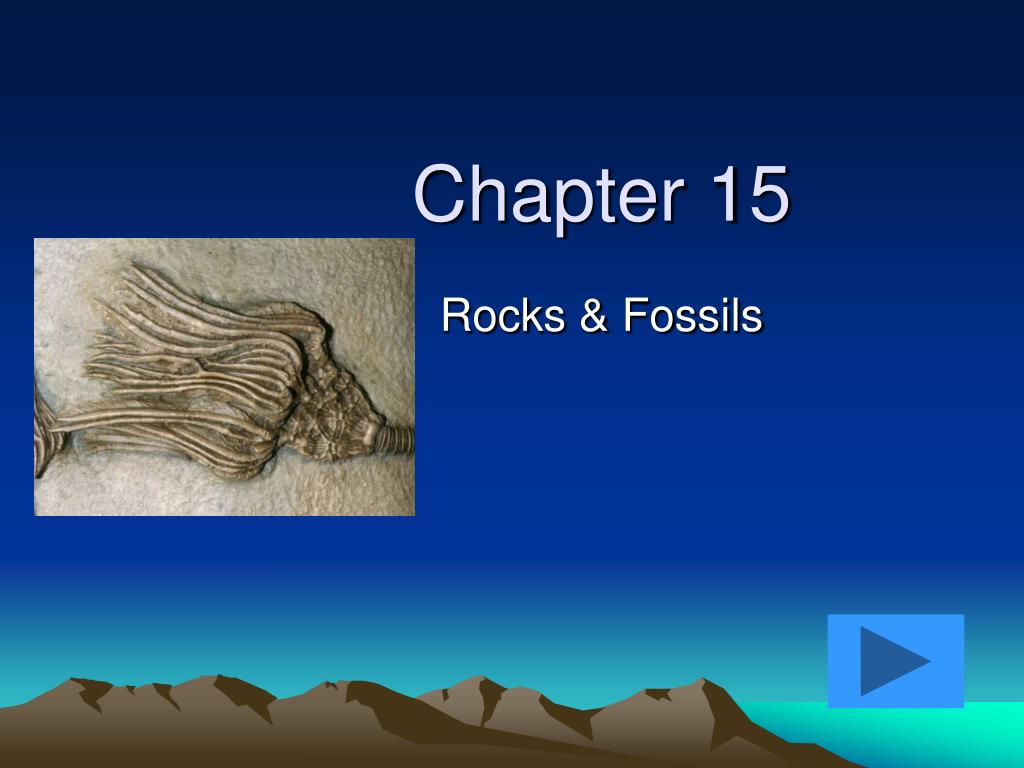 PPT - Chapter 15 PowerPoint Presentation, free download - ID:5049822