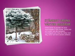 st ndigt gr na v xter regerar