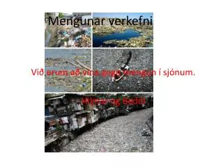 mengunar verkefni