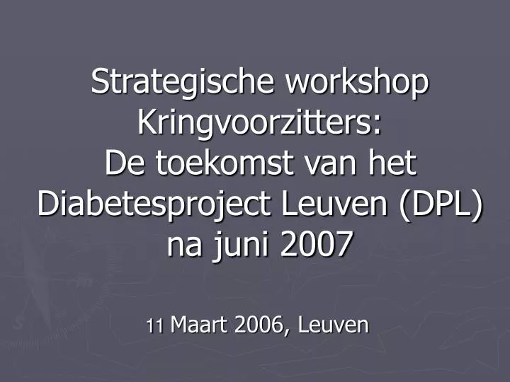strategische workshop kringvoorzitters de toekomst van het diabetesproject leuven dpl na juni 2007