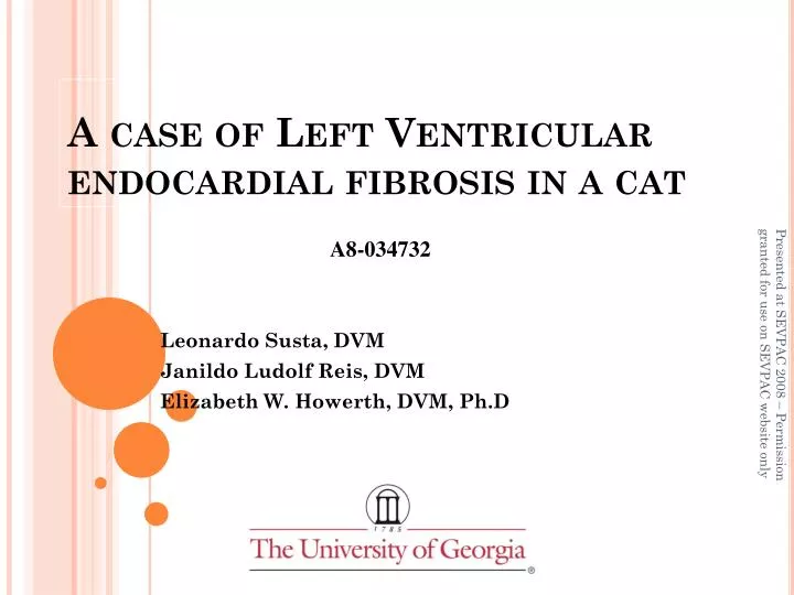 a case of left ventricular endocardial fibrosis in a cat