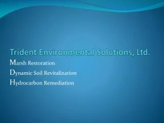 Trident Environmental Solutions, Ltd.